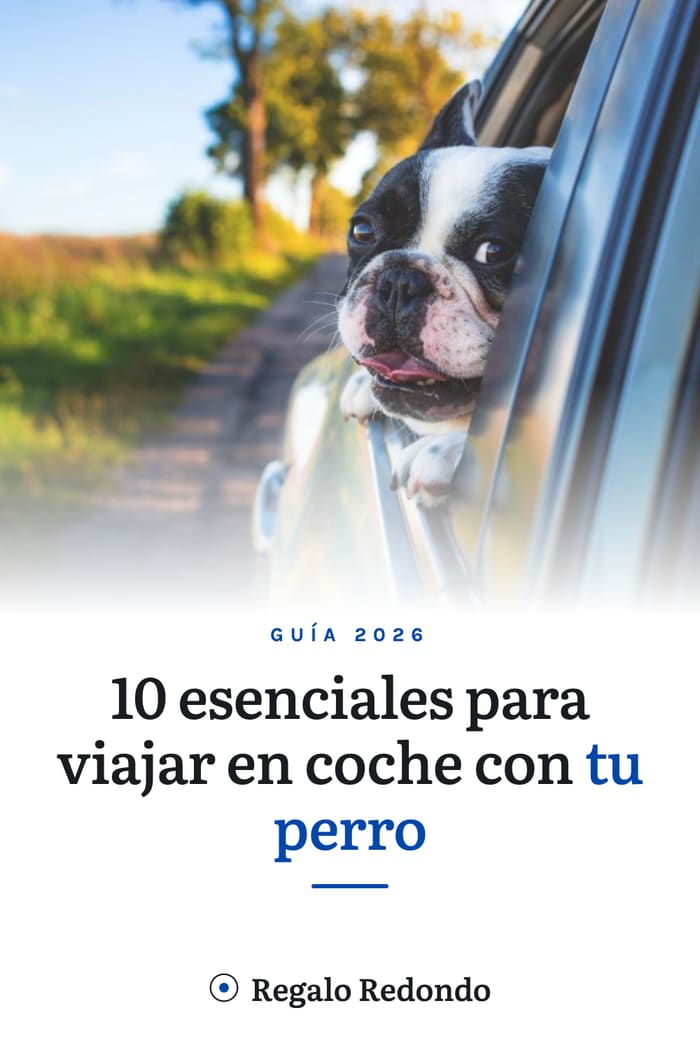 10 esenciales para viajar en coche con tu perro — guía visual